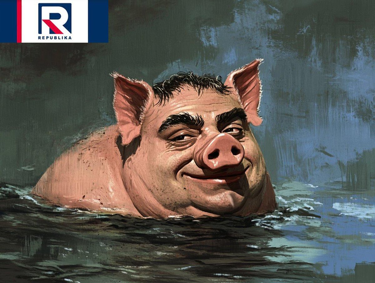 Captain Obvious (@robm0rm0nt) on Twitter photo 