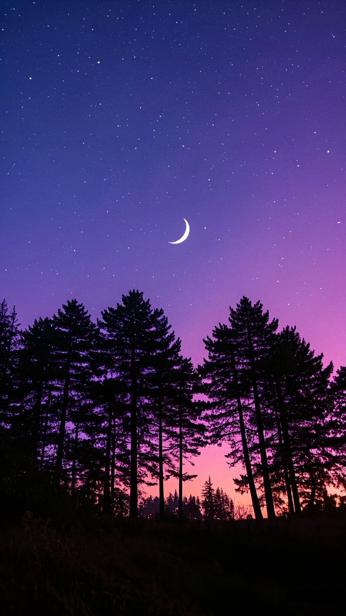 gardenofcolours's tweet image. twilight magic 🌌