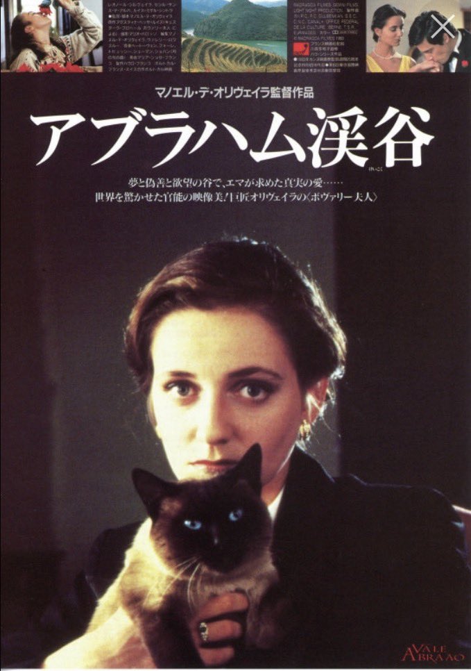 映画レビュー 1056 #アブラハム渓谷 フローベールのボヴァリー夫人を