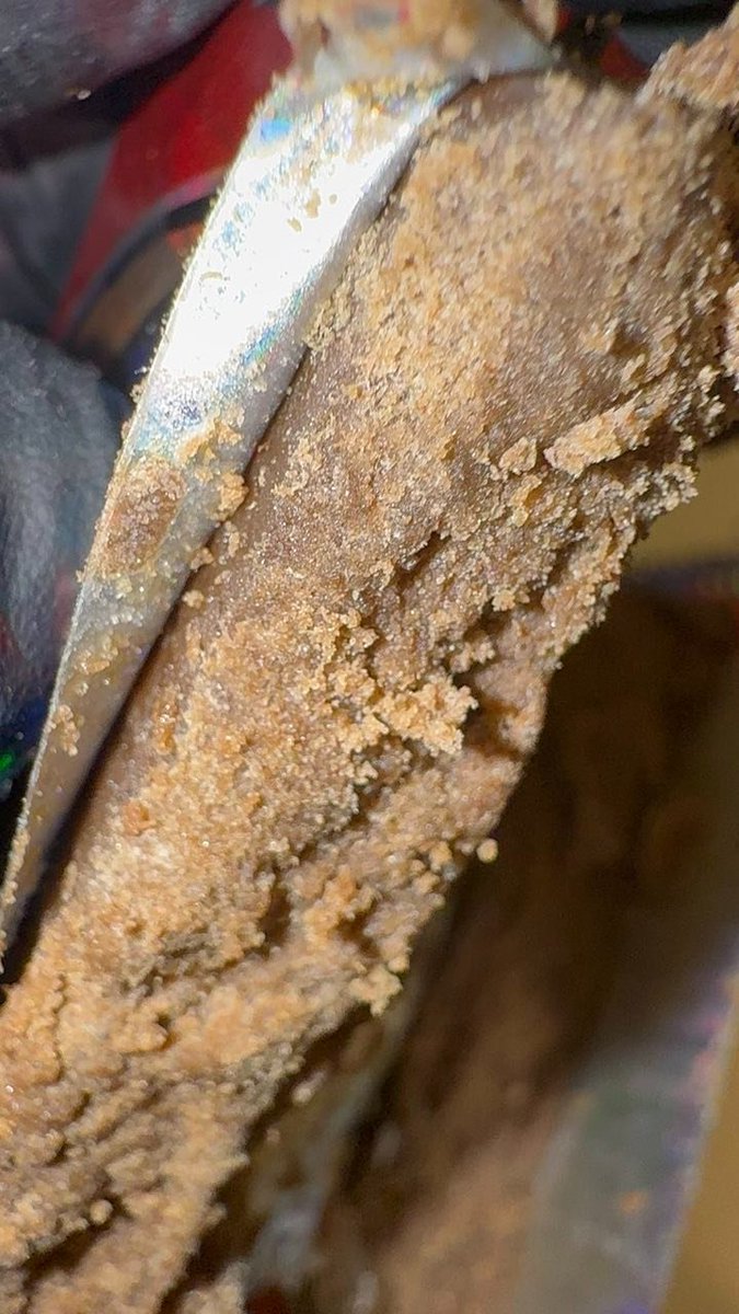 Matthieu425080's tweet photo. Achete ta weed meilleure qualité et livraison gratuite 🚚 

WhatsApp☎️ : +33 602931275

#température #doux #perturbations #Alpes #Pyrénées #Loire #Ancenis #Nantes #printemps #neige #seineetmarne #rivièreatmosphérique #Maine #Angers #décrue #dimanche #rayonnement #fraîcheur https://t.co/SWAqDCI129