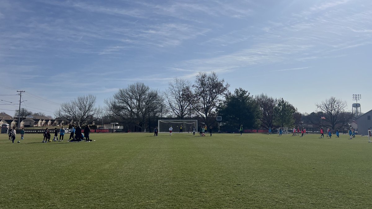 Austin Peay Soccer tweet media
