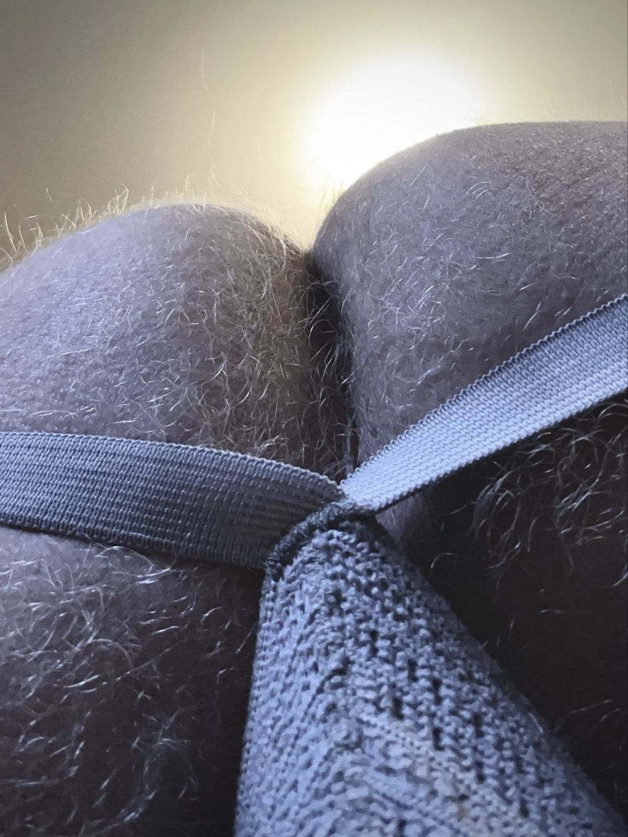 Blond Furball(s) tweet media