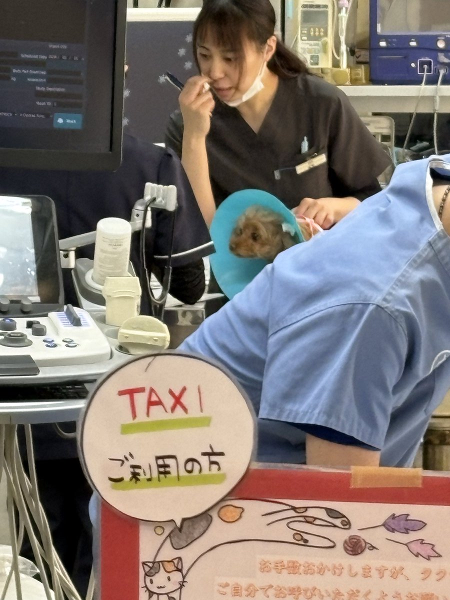 かな tweet media