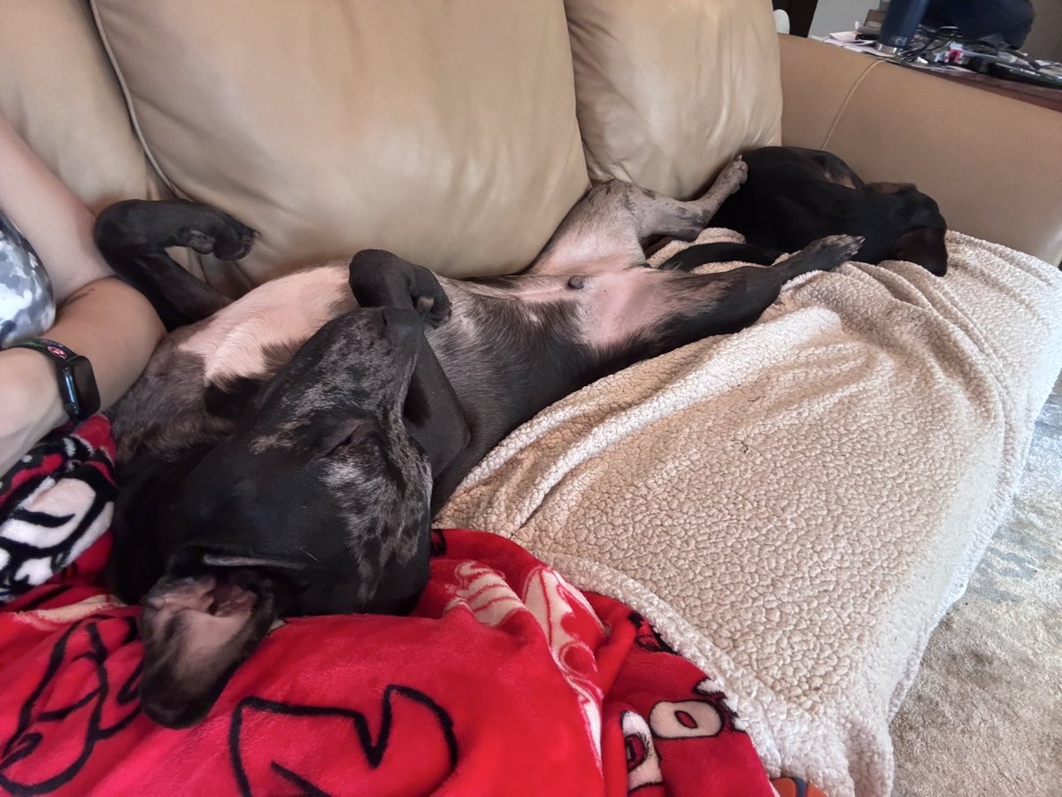 Happy Saturday from Ribeye