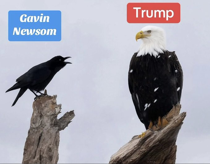 PatriotStevo's tweet photo. @GavinNewsom https://t.co/FhRDObAx6X