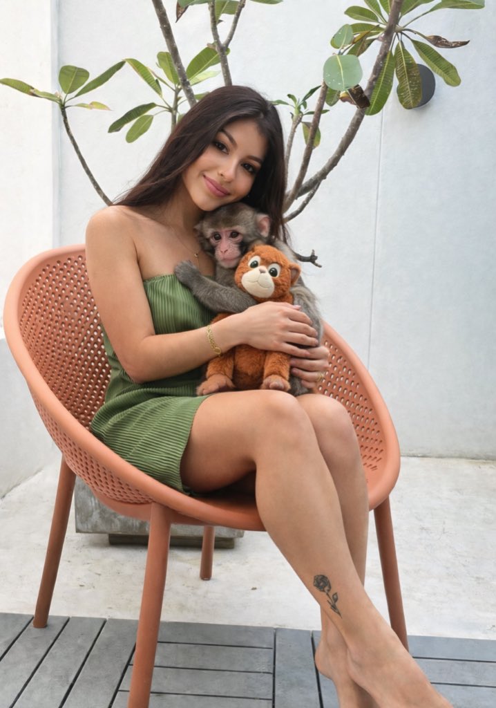 timamalla's tweet photo. Gm 🐵 Little update https://t.co/B4xI26nS93
