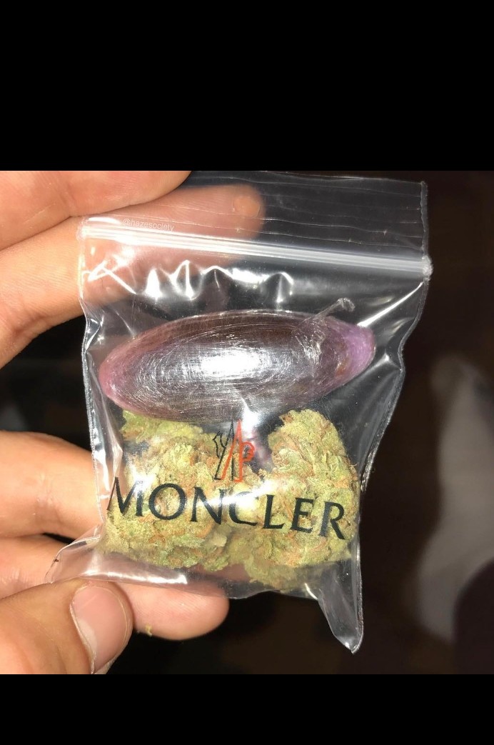 Matthieu425080's tweet photo. Achète ta weed meilleure qualité et livraison gratuite🚚 

Snap����:
https://t.co/eyJ5C7SXQX

Recherche de #beuh #weed #shits #ecstasy #coke dans 
 Montpellier 1
 Nice 
 Marseille 
 Lens
 Toulouse 
 Lyon
 Rennes
 Strasbourg
 Shit
 Weed
 Livraison
 Paris
 Tour Eiffel
 Nekfeu https://t.co/vCxMv2ZfhD