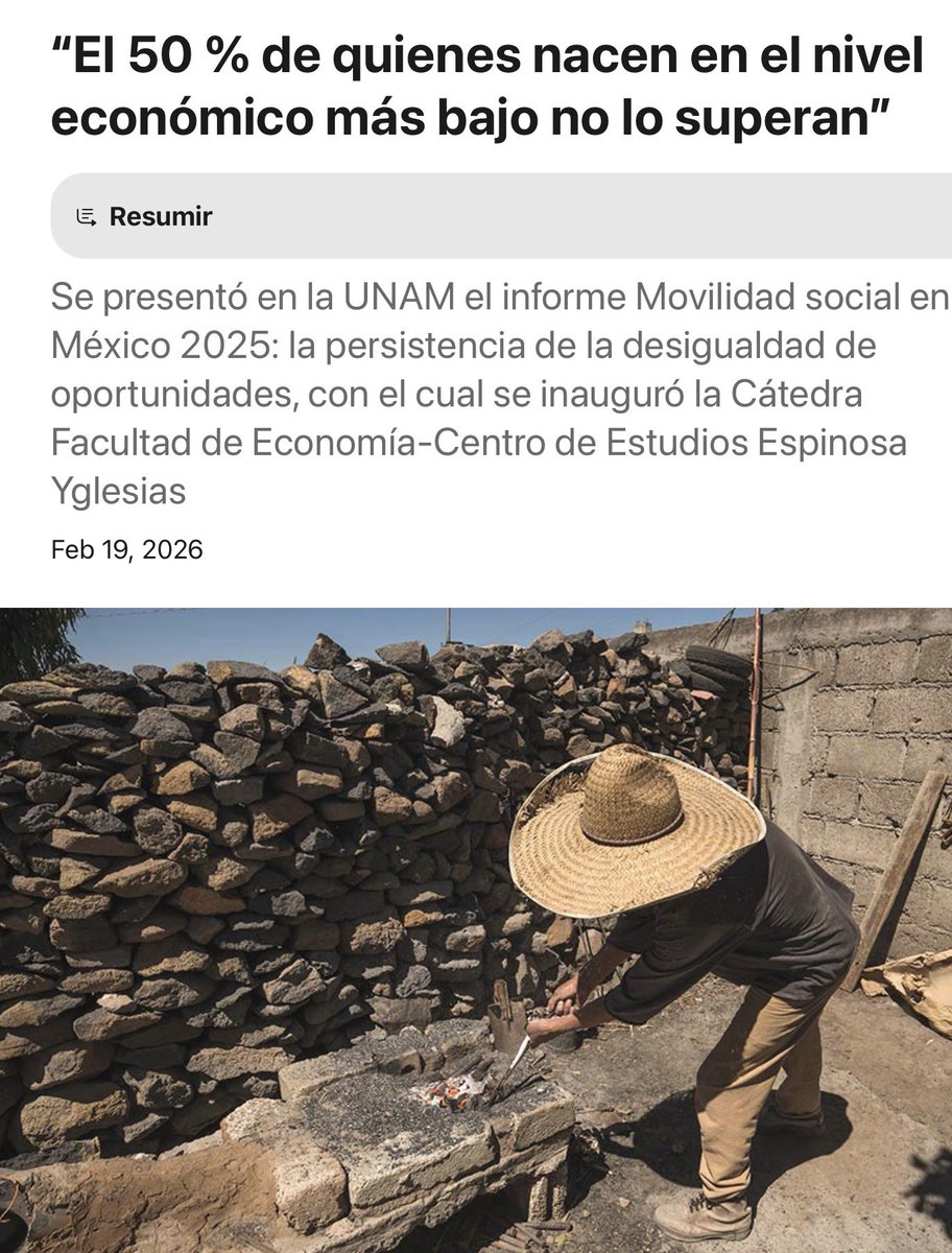 José Mario tweet media