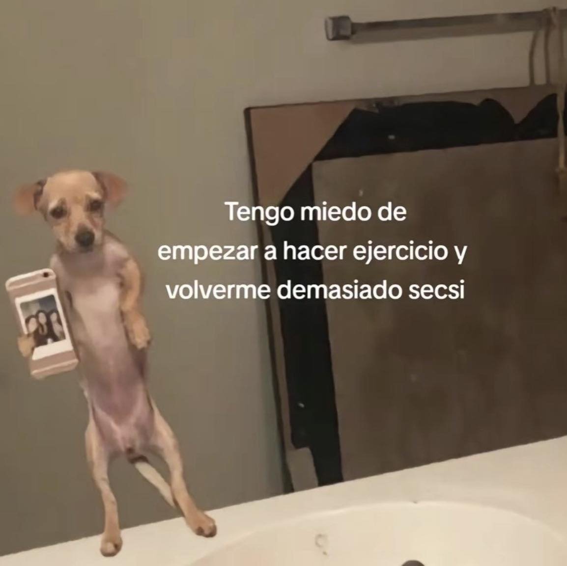 BANDIDOS (@bandidosfrasess) on Twitter photo 