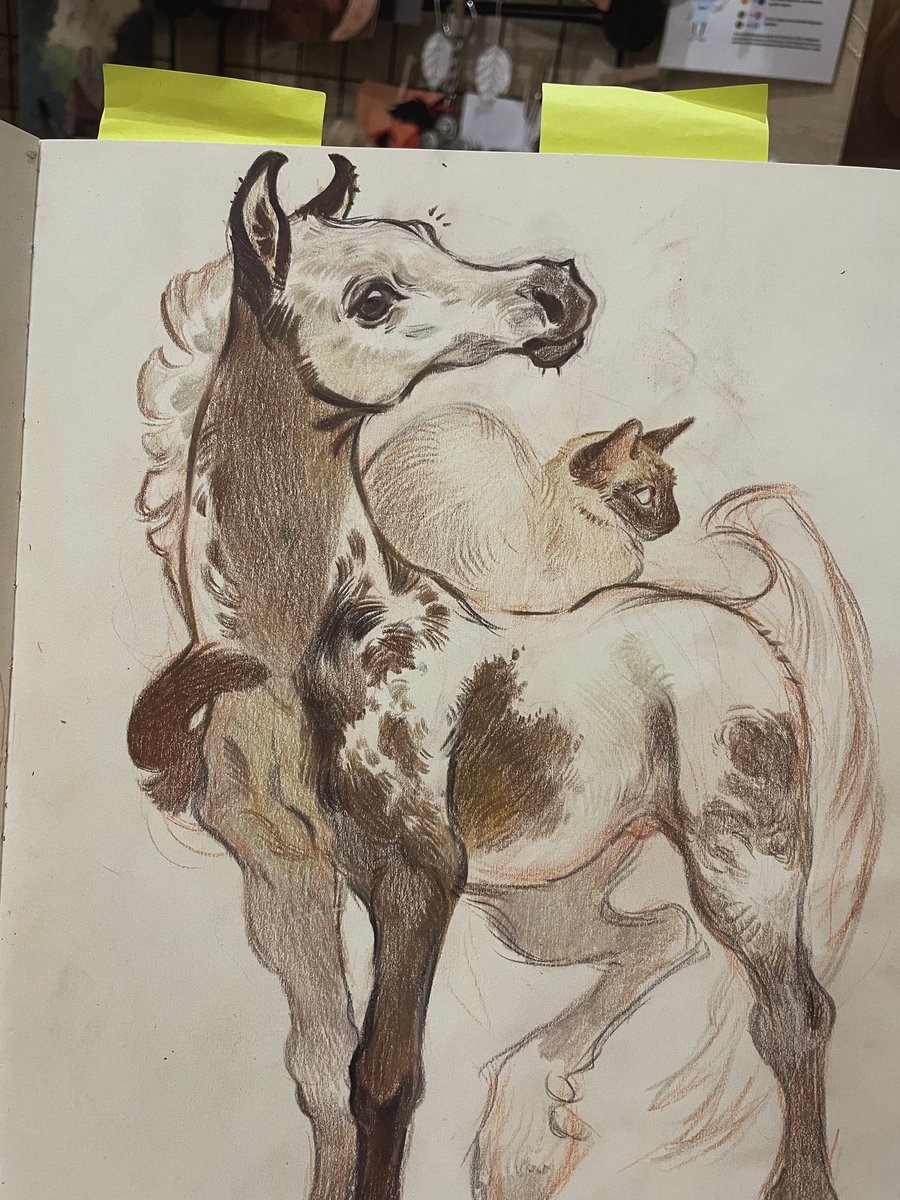 Work In Progress 🤍✨🤎
#horseartwork #colorpencil #horsesketch