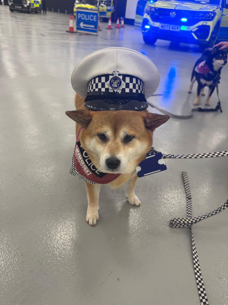 Karen jones tweet media