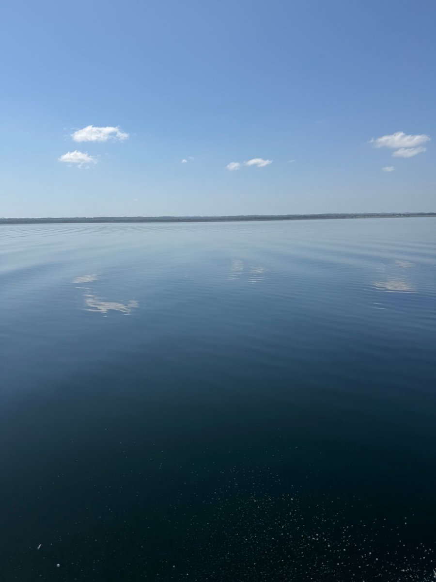 Carlos Fion tweet media