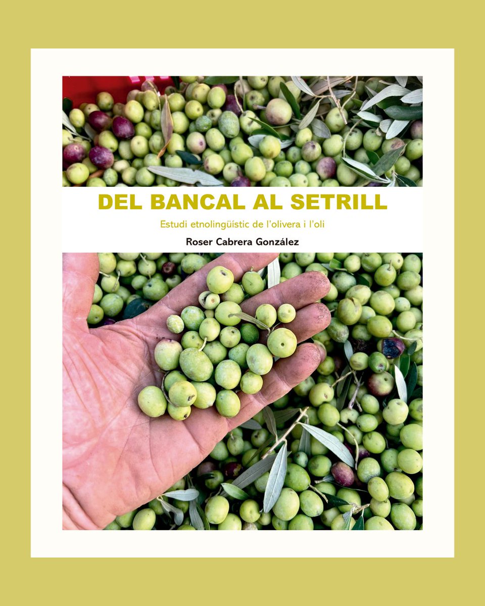 #Etnopublicacions 📖
Del bancal al setrill és una obra clau per entendre la cultura de l’olivera i de l’oli al territori valencià. Es tracta d’una reedició de l’estudi que Roser Cabrera, de l’any 1986. 

Esta edició permet observar els canvis socials, tecnològics i lingüístics 🫒