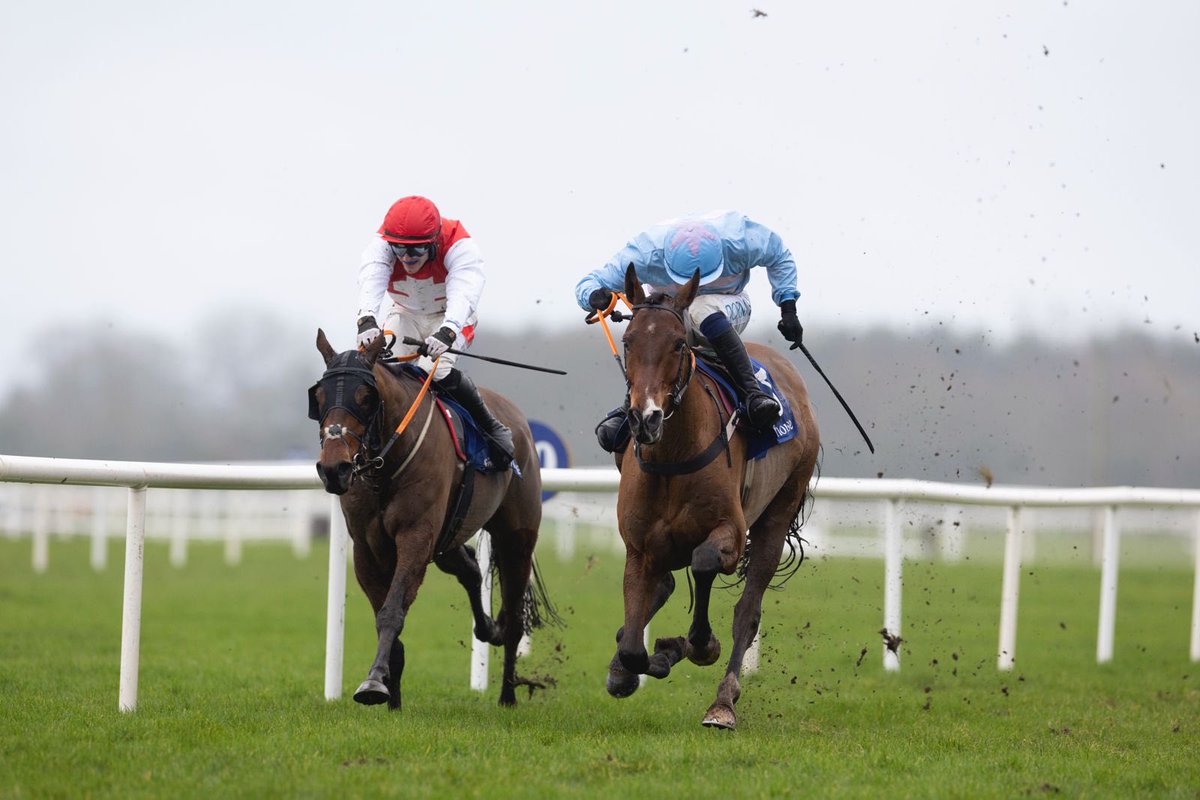 Fairyhouse's tweet photo. Rokathir 🥇

Is the winner of the Group Discounts on Easter Festival General Admission Rated Novice Chase! 

Jockey - @DarraghOKeeffe8 
Trainer - @HenrydeBromhead https://t.co/OzxQm8YPLH