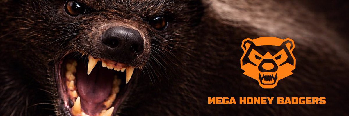 Block Dexes Inc. tweet media