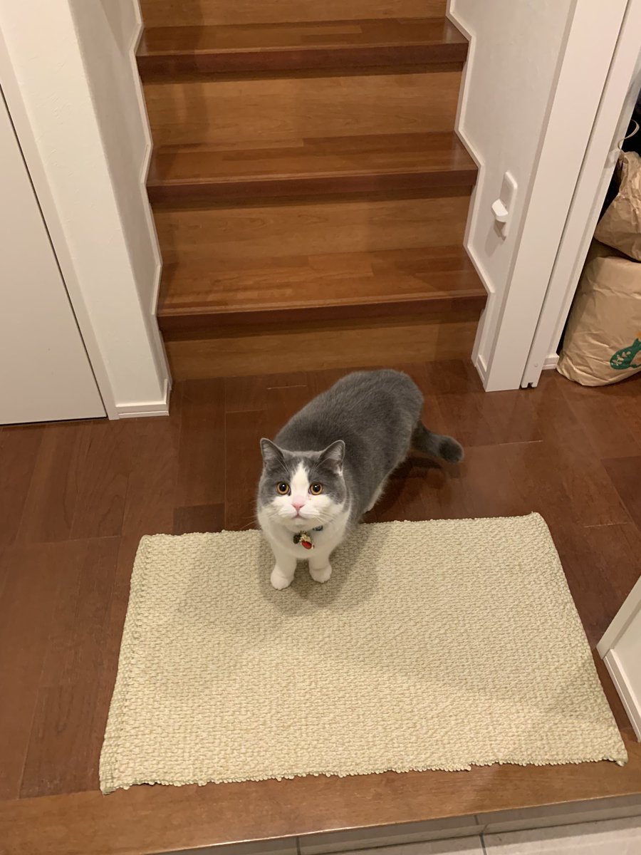 渡辺和紀　（watanabe kazunori) tweet media