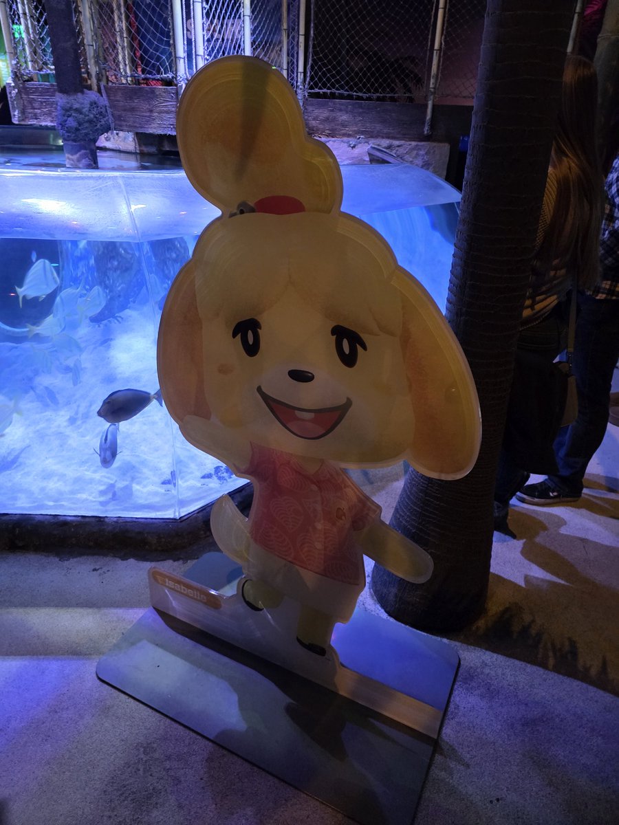 Nicholas D. Markgraf tweet media