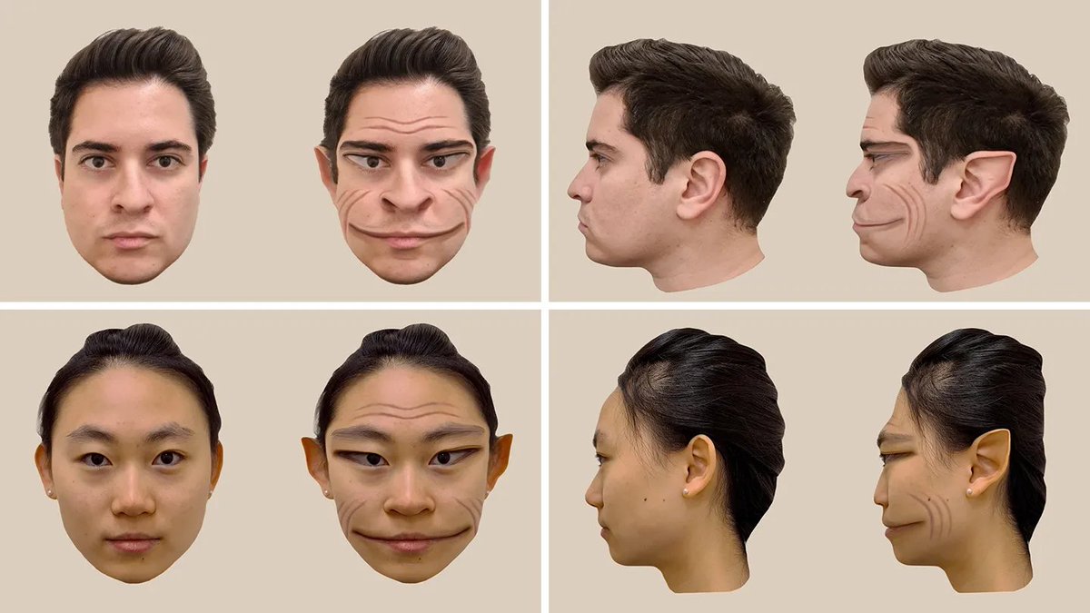 Dr. Akhil 🇮🇳 tweet media