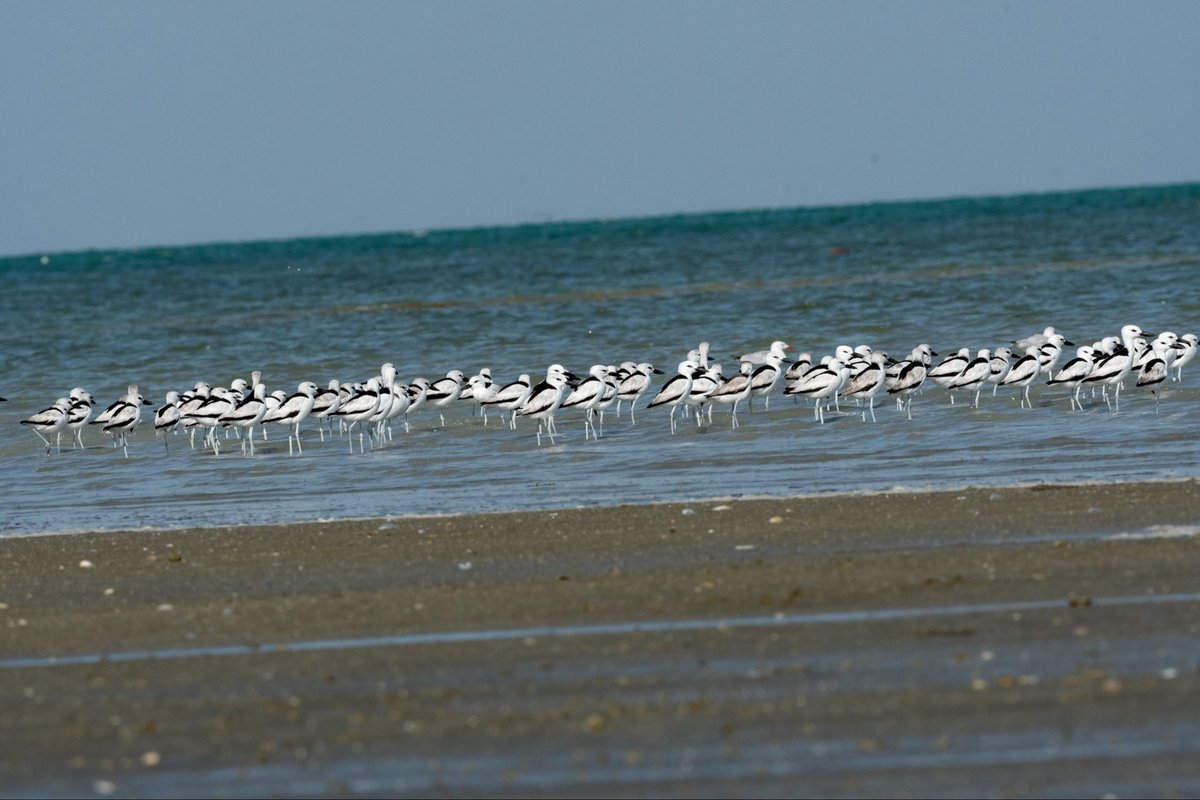 Anand Ramesh tweet media