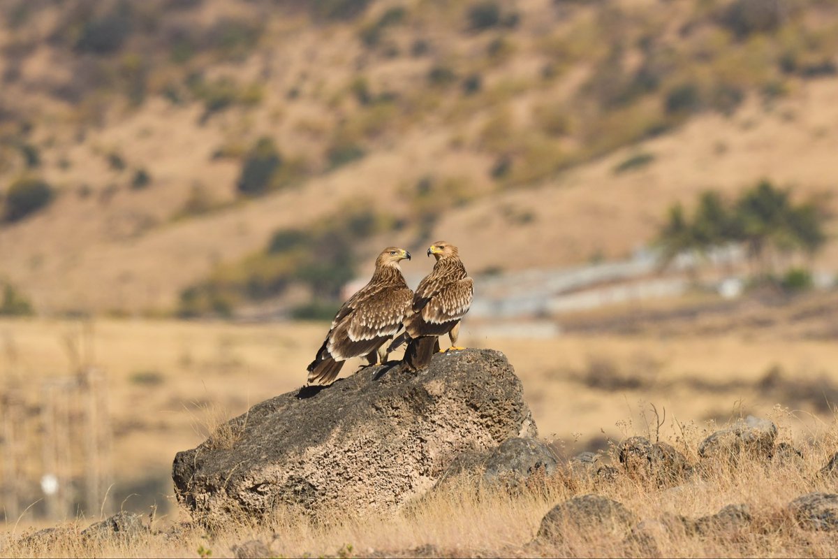 Anand Ramesh tweet media