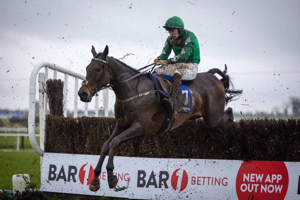 FairyhouseRacecourse tweet media