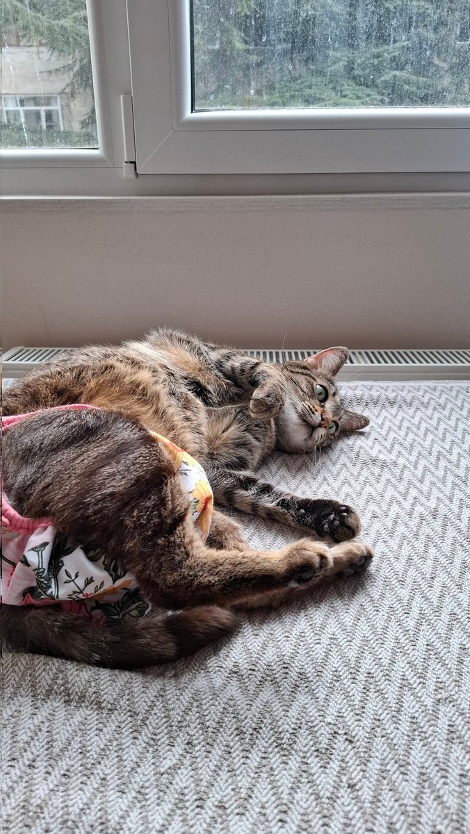 afcleric tweet media