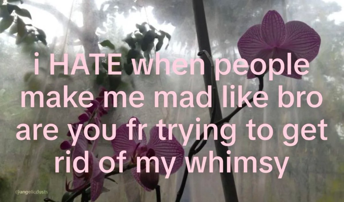 ଘ(੭*ˊᵕˋ)੭* ੈ♡‧₊˚ (@polkadtts) on Twitter photo 