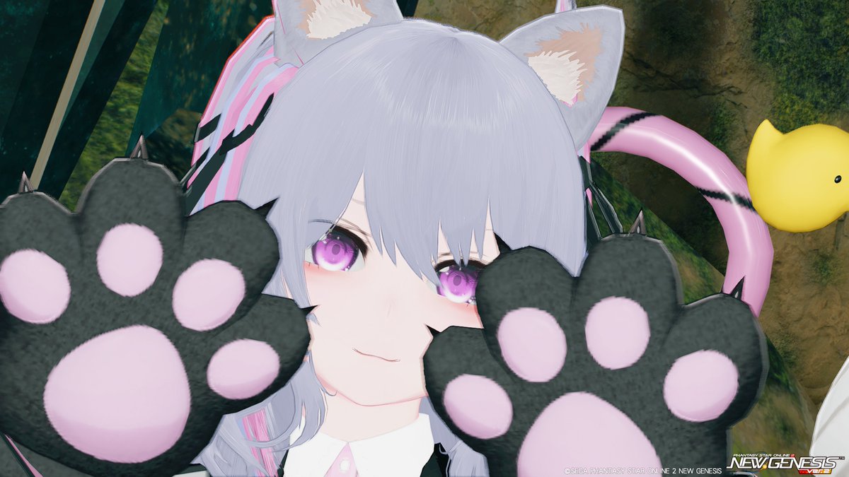 猫の日だね🐈🐾