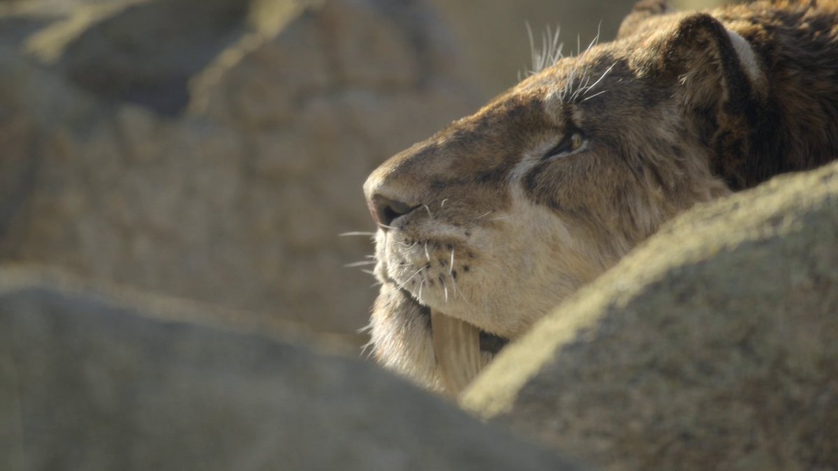 Riamus01's tweet image. Seriously man, never in my life have I enjoyed CGI spectacle so much.

The CGI is arguably the strongest this season. Making relatives of living animals look believable is probably much harder than animating dinosaurs. But here you don't think it's CGI for a second.