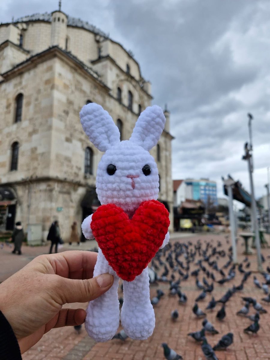 📍 HÜNERHANE | AMİGURUMİ OYUNCAK 🧶🧸

TÜGVA Bolu Kadın ve Aile Koordinatörlüğü çatısı altında gerçekleştirdiğimiz Hünerhane atölyemizde, amigurumi oyuncak yapımında bir araya geliyoruz. ✨