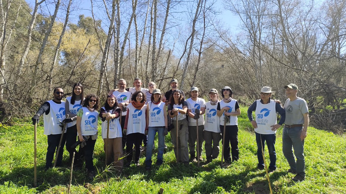 SEO Doñana tweet media