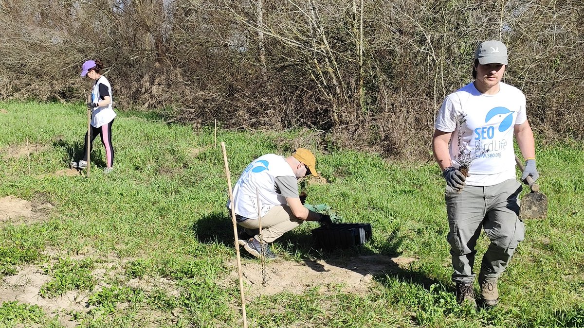 SEO Doñana tweet media