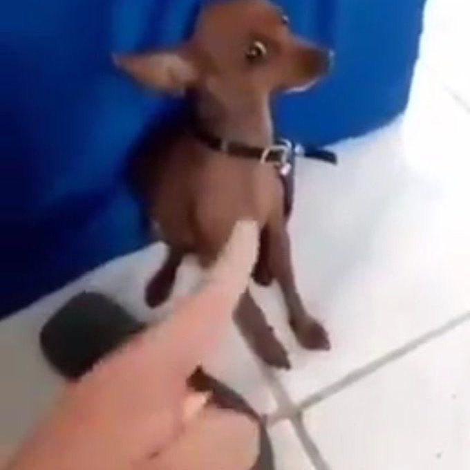 Swiftiezando_'s tweet image. Gente milena só dorme pelo amor de Deus. E mesmo assim tem mais protagonismo que o sexteto amaldiçoado