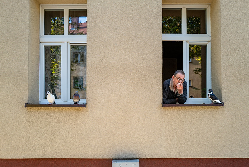 Yann Trineck

 #photo

flickr.com/photos/pawelst…