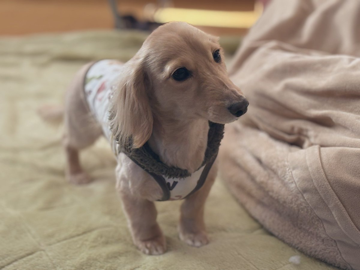 そると🧂 tweet media