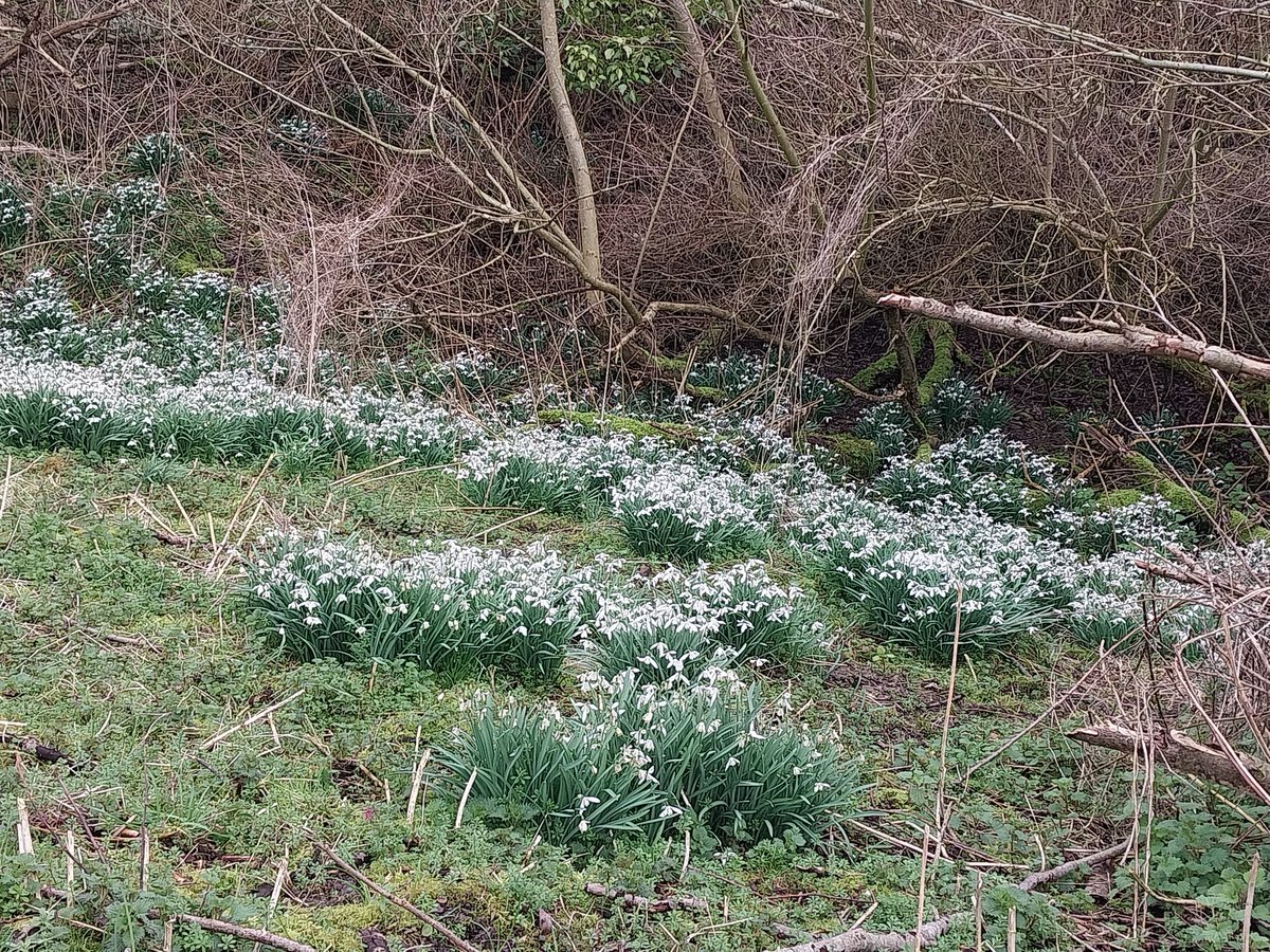 Lucy Sixsmith tweet media