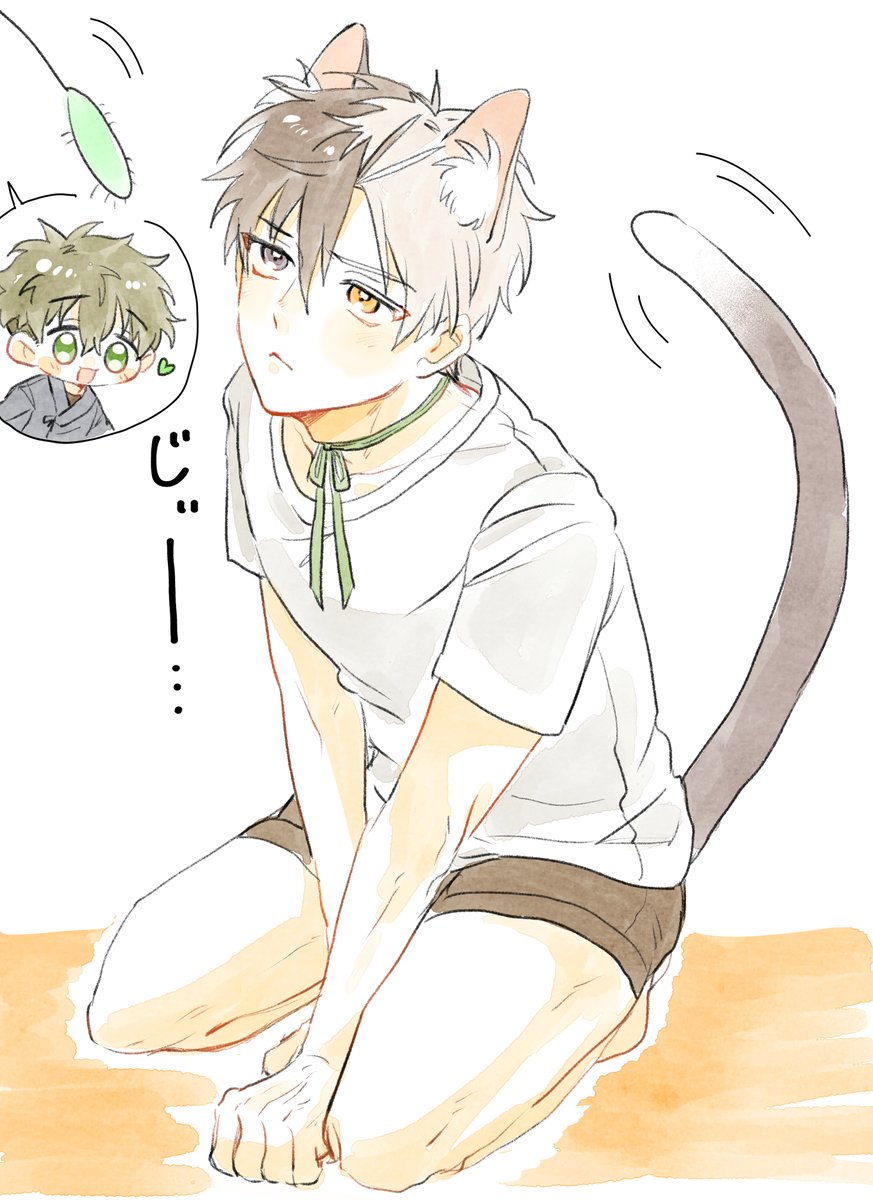 猫の日🐱💕 かめさく 🐢🌸