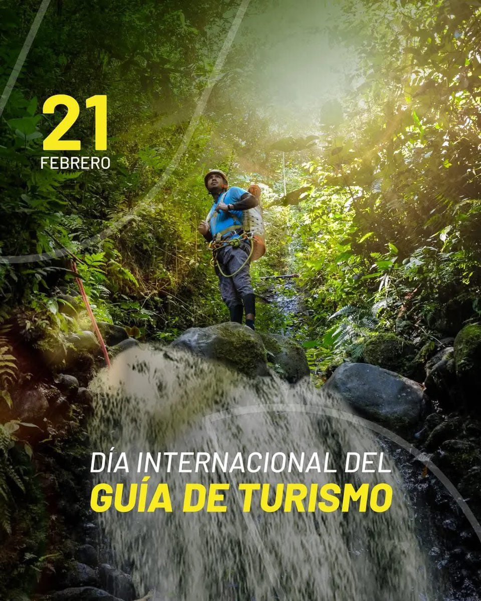 Mateo Estrella tweet media