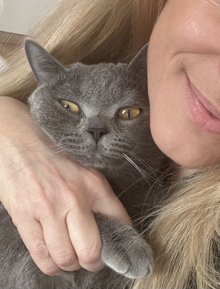 Dicen que abrazar a un gato disminuye el cortisol.