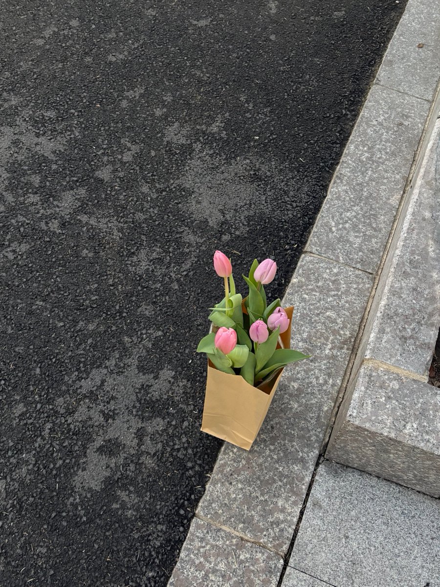 eimne_r's tweet photo. Tulips, like spring, are full of hope https://t.co/nAkmmaoD0o