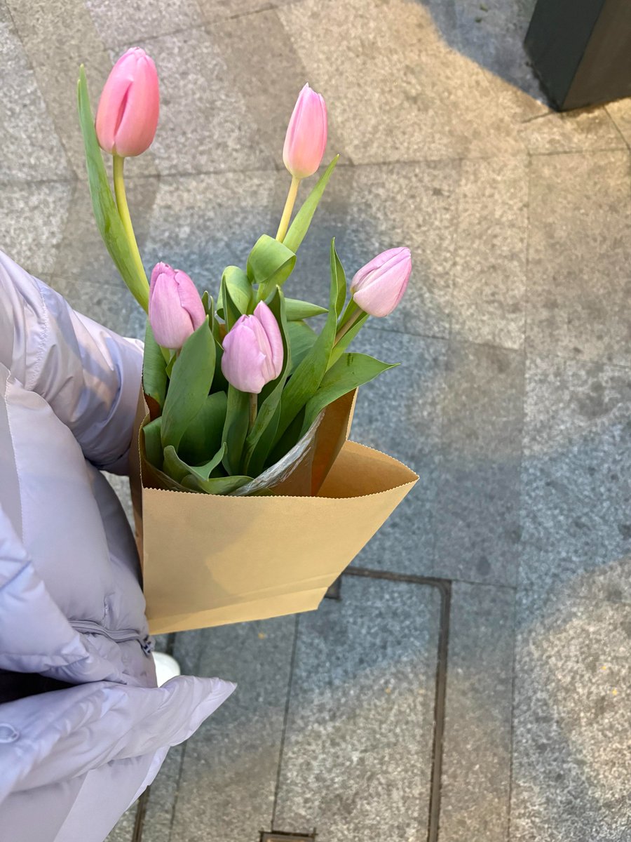 eimne_r's tweet photo. Tulips, like spring, are full of hope https://t.co/nAkmmaoD0o