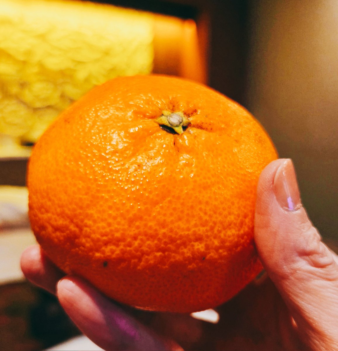 岡山🍑イベント満員御❣️ありがとうございました☺️初めて鞭のショーをご覧いただいた方も多くて、たくさんおしゃべりできました。ショーのお心付けも、差し入れのみかんも有り難く頂戴いたしました🙂‍↕️💕二次会も、鞭に縄におしゃべりにすごく盛り上がって楽しかったです。また、お会いしましょう🥰💕