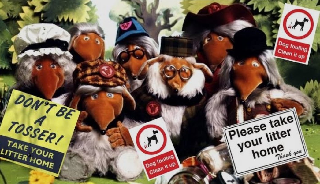 Great Editor tweet media