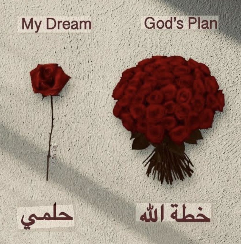 ln75a's tweet photo. ( وَاللهُ يَعْلَمُ وَأَنْتُمْ لَا تَعْلَمُونَ ). https://t.co/NxVwXiKlu2