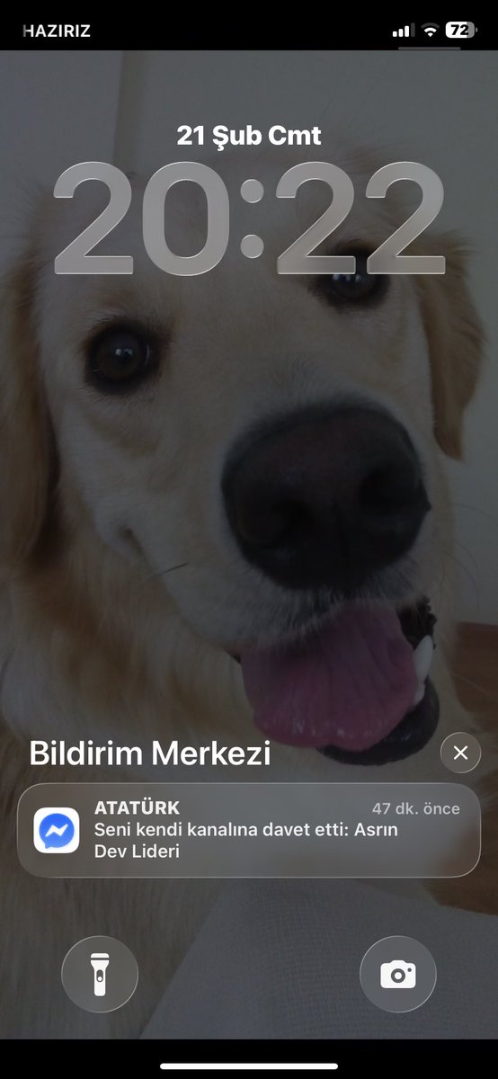 MDide's tweet photo. Atam kanal açmış https://t.co/T1t9S0hyOf