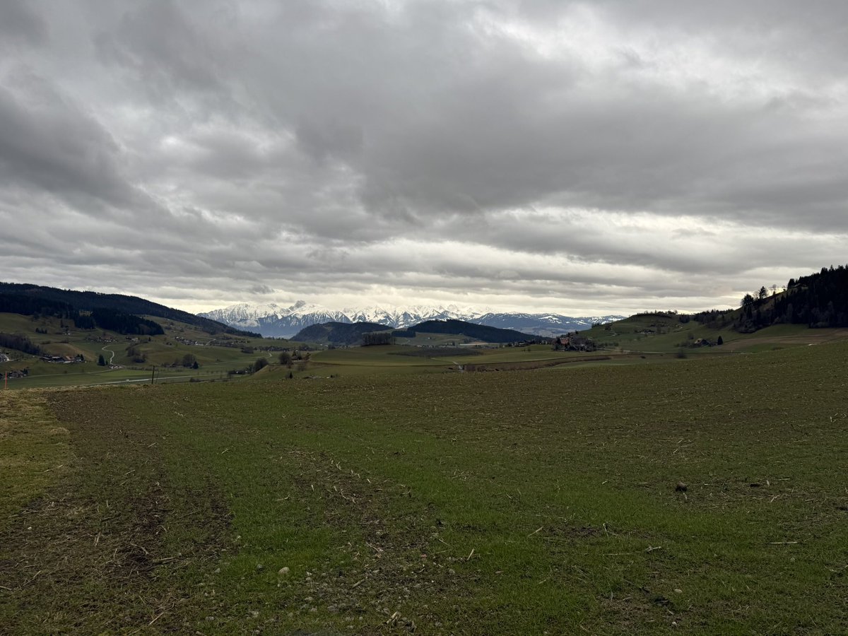 Matthias tweet media