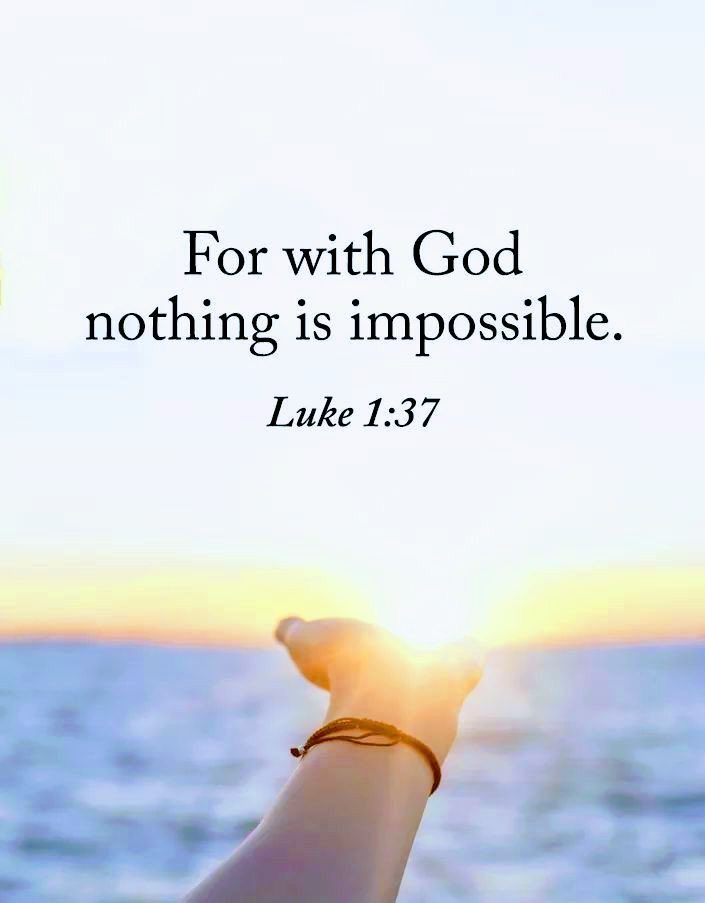 Holy Bible (@holy__bible1) on Twitter photo 