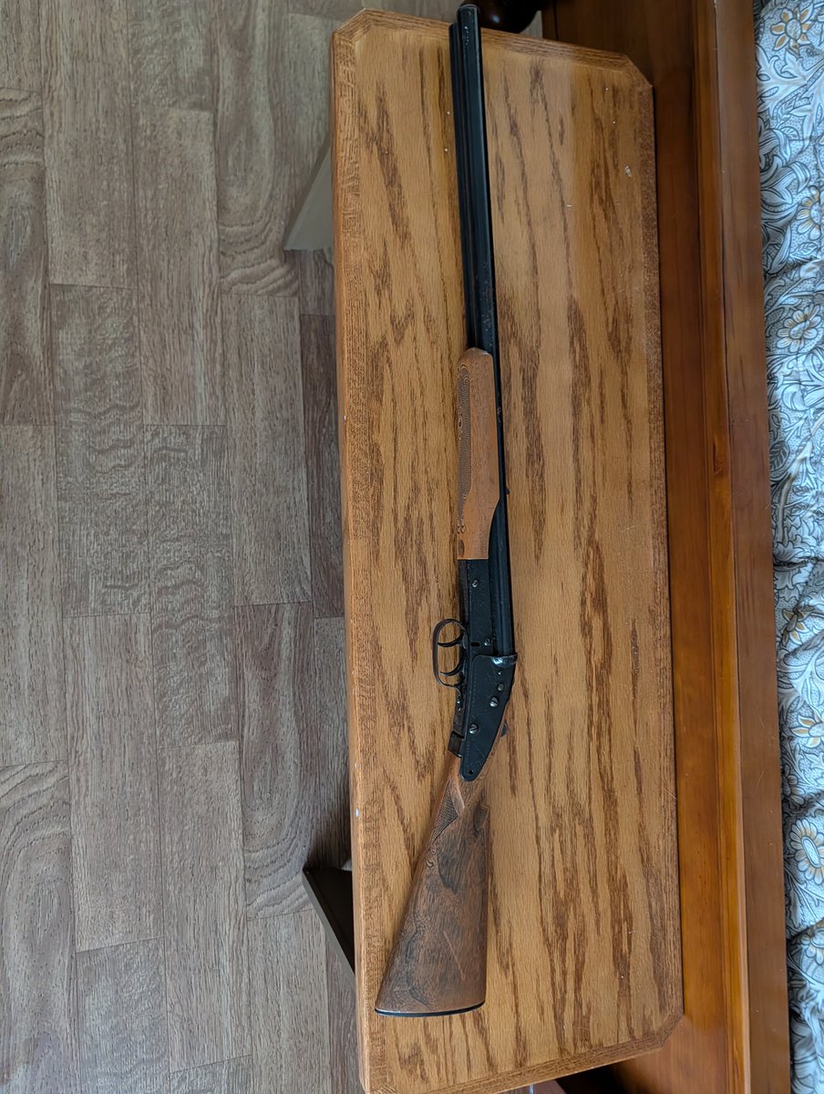 Daisy model 21 double barrel BB gun. I didn't know they existed until I found this one.
