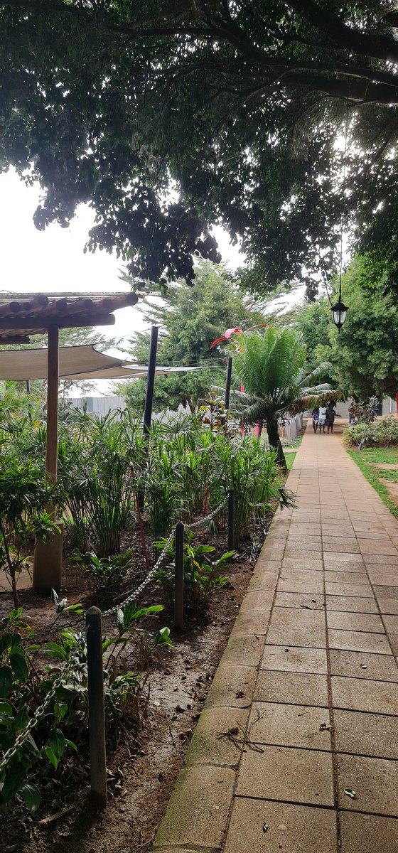 African SafariMan🇺🇬 tweet media