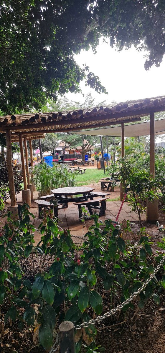 African SafariMan🇺🇬 tweet media